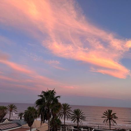 Parque Santiago II , Renovated, Ocean View, Heated Swimming Pool ! Lejlighed Playa de las Américas Eksteriør billede